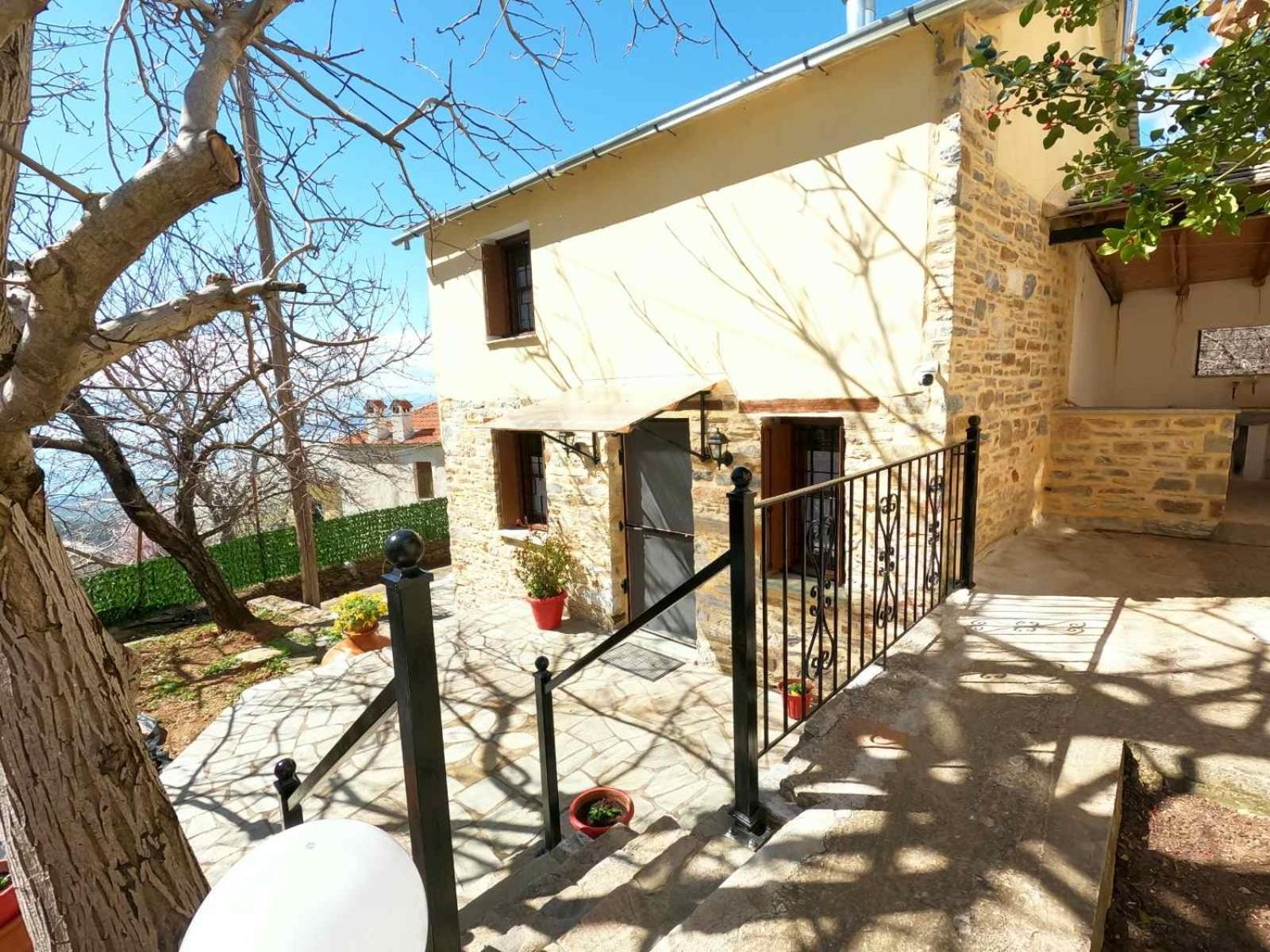 Vila Pelion Cozy Residency